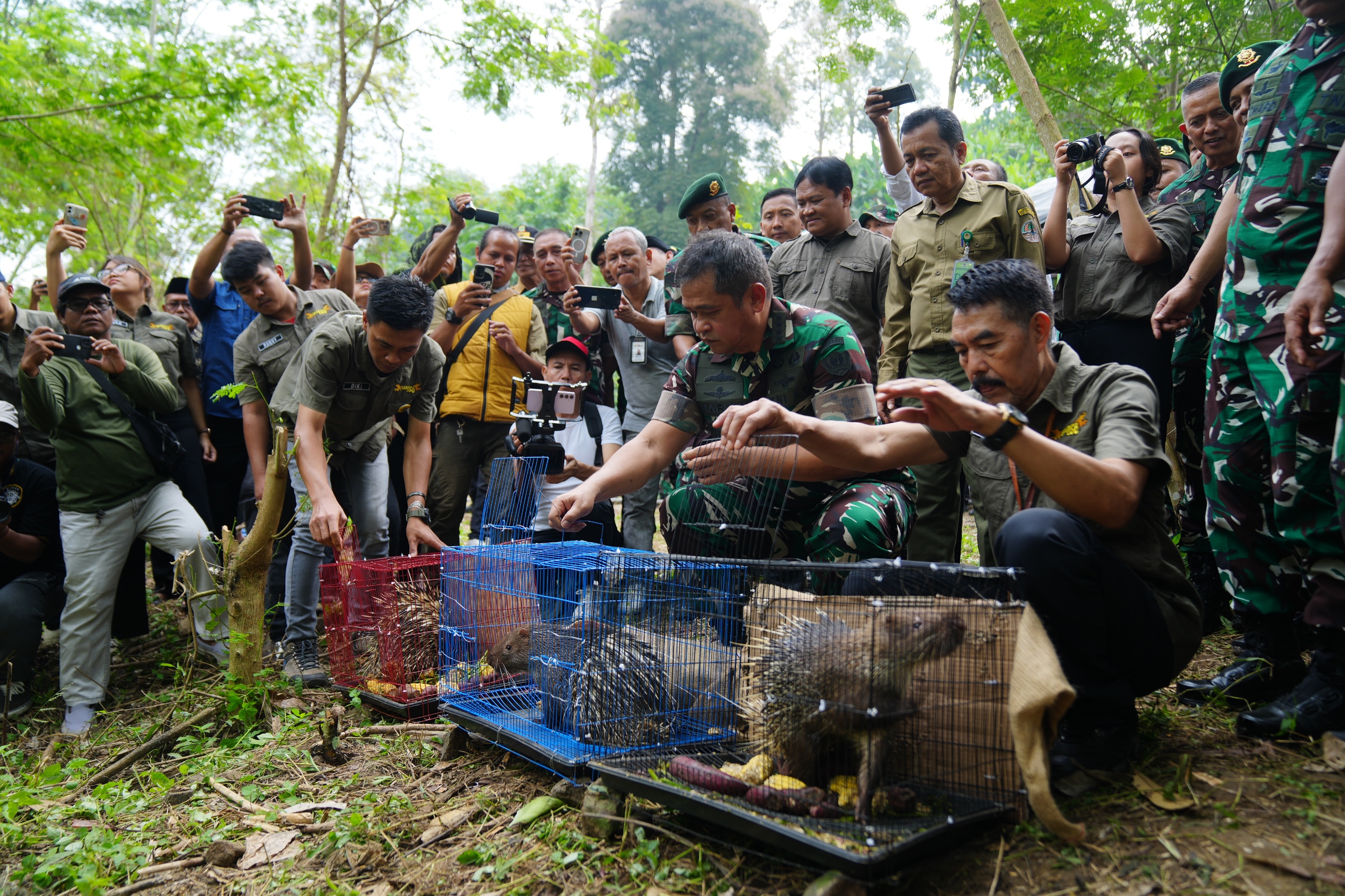 Dukung Konsevasi Alam, Kasad Lepas Liarkan Satwa Langka