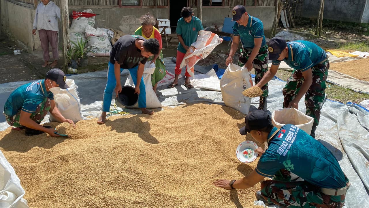 Kebersamaan di Perbatasan, Yonarmed 12 Kostrad dan Warga Ailala Panen Jagung