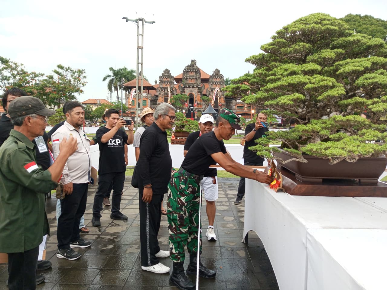 Kodim Gianyar Dukung Pameran Bonsai Nasional 2026, Ajang Seni Bertabur Bintang