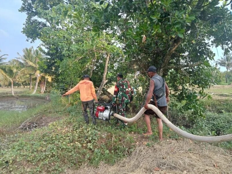 Babinsa Koramil 2215/Ciemas Laksanakan Pendampingan Hanpangan Penyedotan Air untuk Persawahan