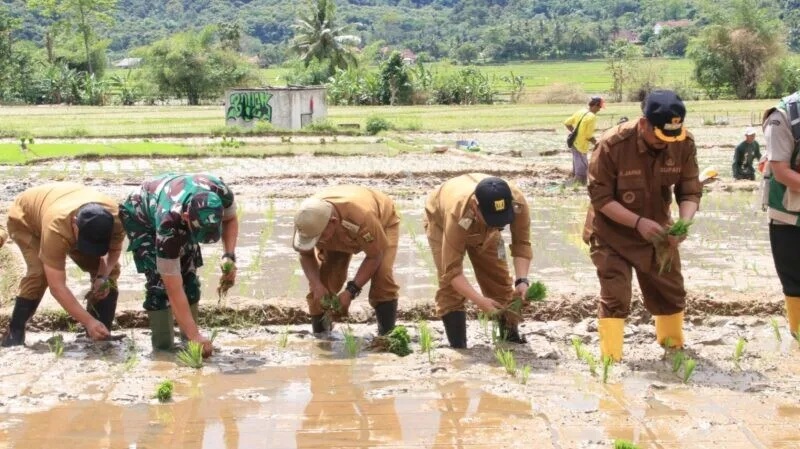 Dandim 0622/Kab. Sukabumi Bersama Pemkab Dukung Swasembada Pangan Berkelanjutan di Ciemas