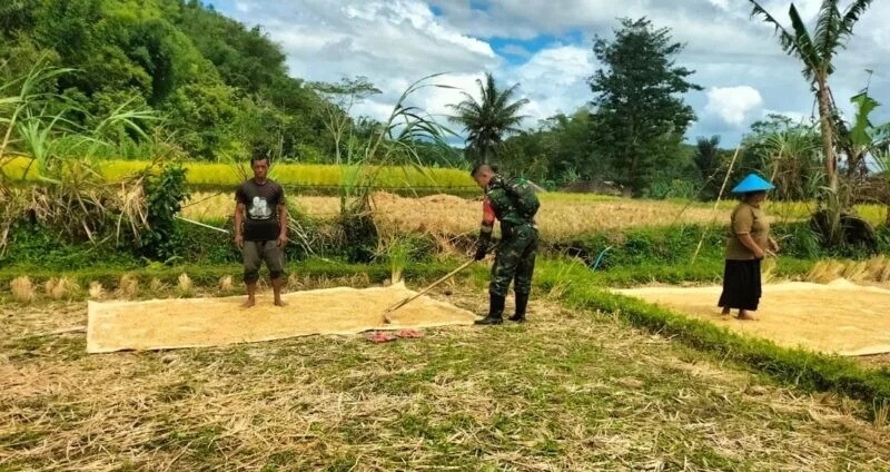 Babinsa Koramil 2211/Sagaranten Laksanakan Pendampingan Ketahanan Pangan di Desa Tenjolaut