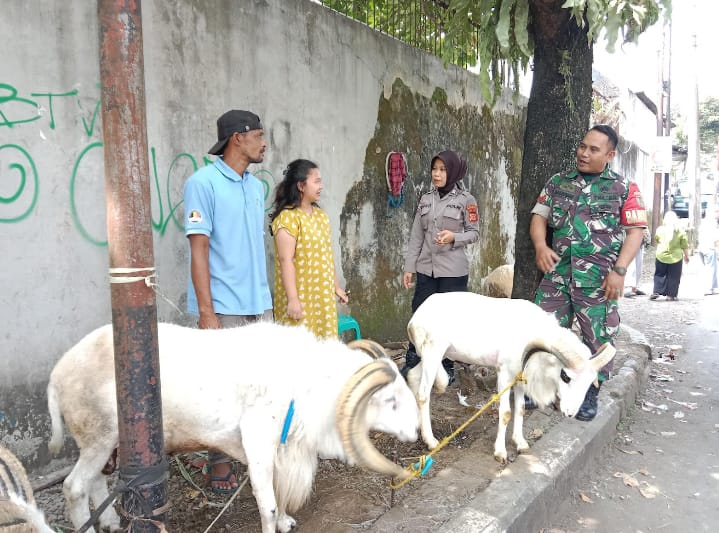 Babinsa Kelurahan Warudoyong Kopka Ifan Herawan Monitoring Kegiatan Kurban dan Komsos Bersama Warga