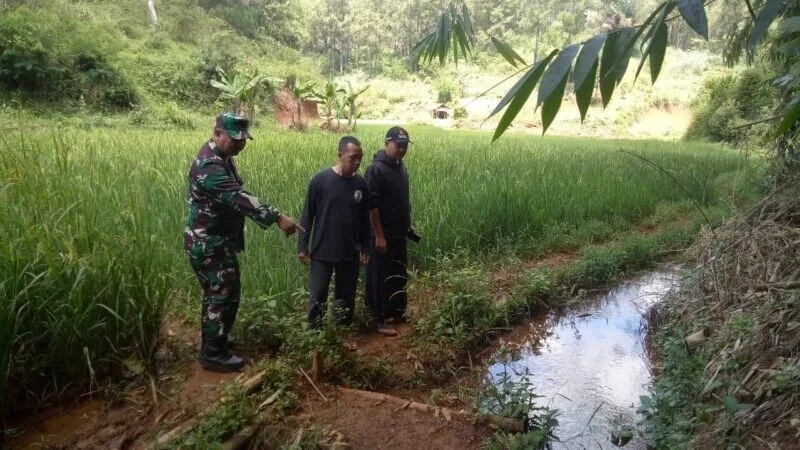 Danposramil 2207/Jampang Tengah Laksanakan Pendampingan Ketahanan Pangan