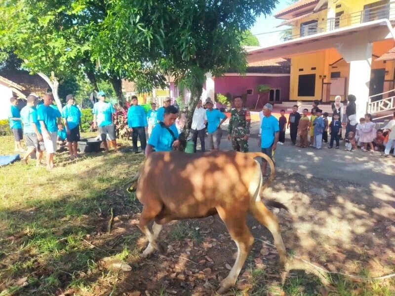 Babinsa Koramil 2211/Sagaranten Bantu Pemotongan Hewan Kurban di Desa Cimenteng