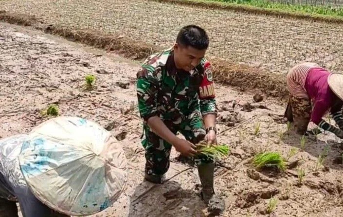Babinsa Koramil 2206/Parakansalak Laksanakan Pendampingan Ketahanan Pangan Di Desa Sukakersa