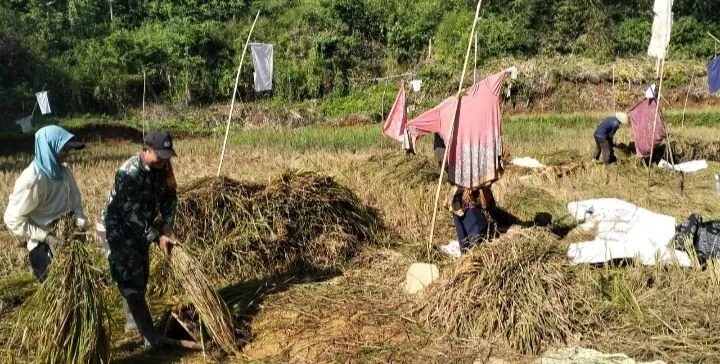 Babinsa Koramil 2210/Pabuaran Dampingi Kelompok Tani dalam Kegiatan Ketahanan Pangan