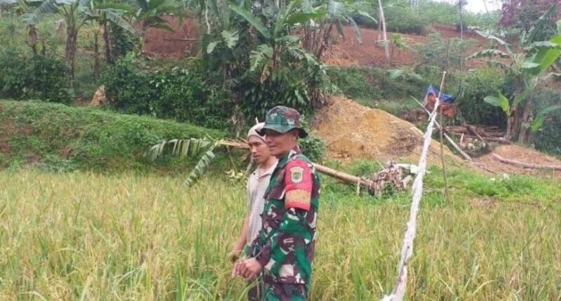 Babinsa Koramil 2209/Lengkong Laksanakan Pendampingan Ketahanan Pangan Di Desa Neglasari