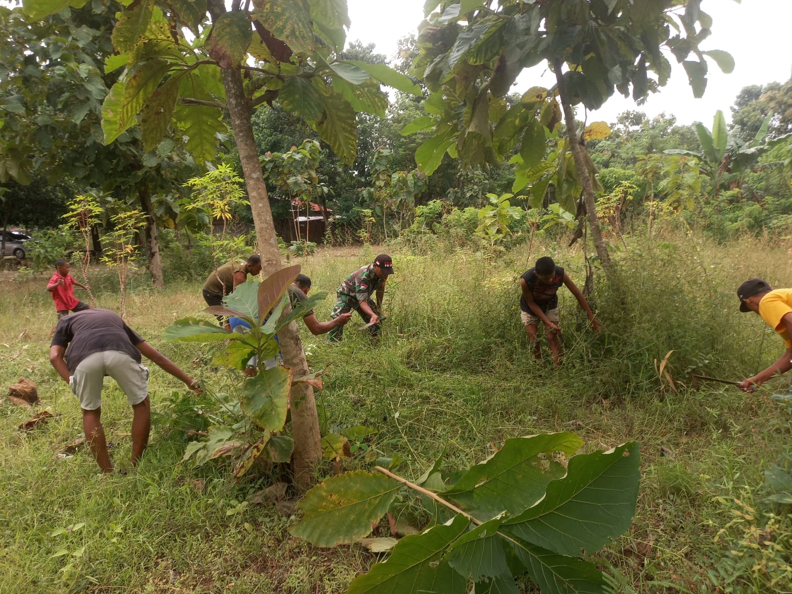 Bersihkan Kebun Bersama, Babinsa Tekankan Pentingnya Mengolah Lahan untuk Perekonomian Keluarga