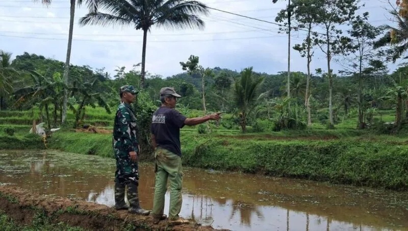 Babinsa Koramil 2207/Jampangtengah Laksanakan Pendampingan Hanpangan Bersama Poktan Ridho Manah