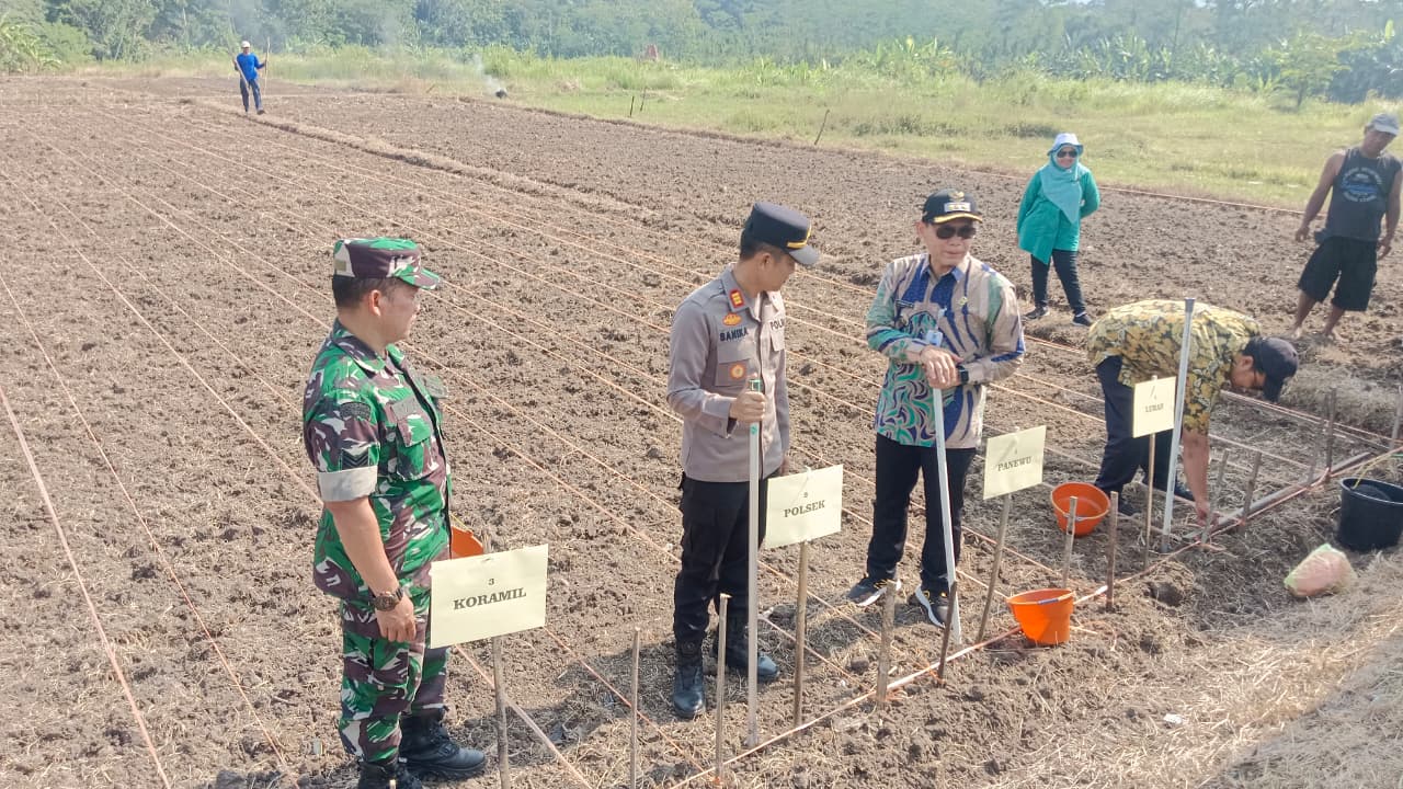 Babinsa Minggir Sleman Dukung Program Ketahan Pangan