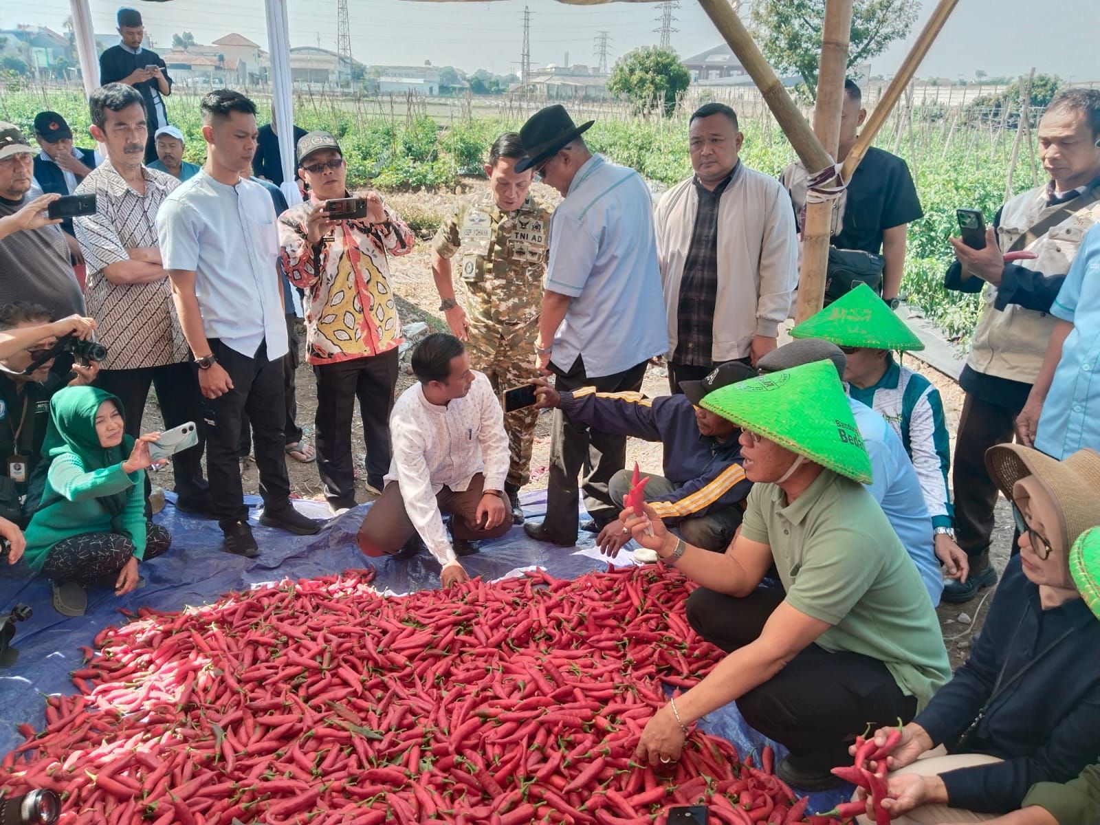 Danramil 2407/Dayeuhkolot Monitoring Kegiatan Ketahanan Pangan Bupati Bandung Panen Raya Cabai Merah di Bojongsoang