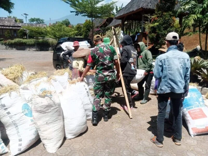 Babinsa Koramil 2212/Tegalbuleud Bersama PPL Laksanakan Pendampingan Hanpangan Di Desa Bangbayang