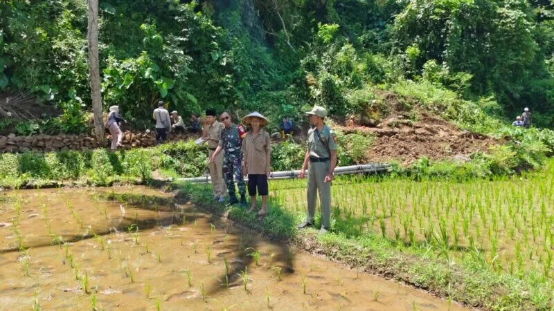 Babinsa Koramil 2213/Jampangkulon Dampingi Kegiatan Ketahanan Pangan Bersama Kelompok Tani