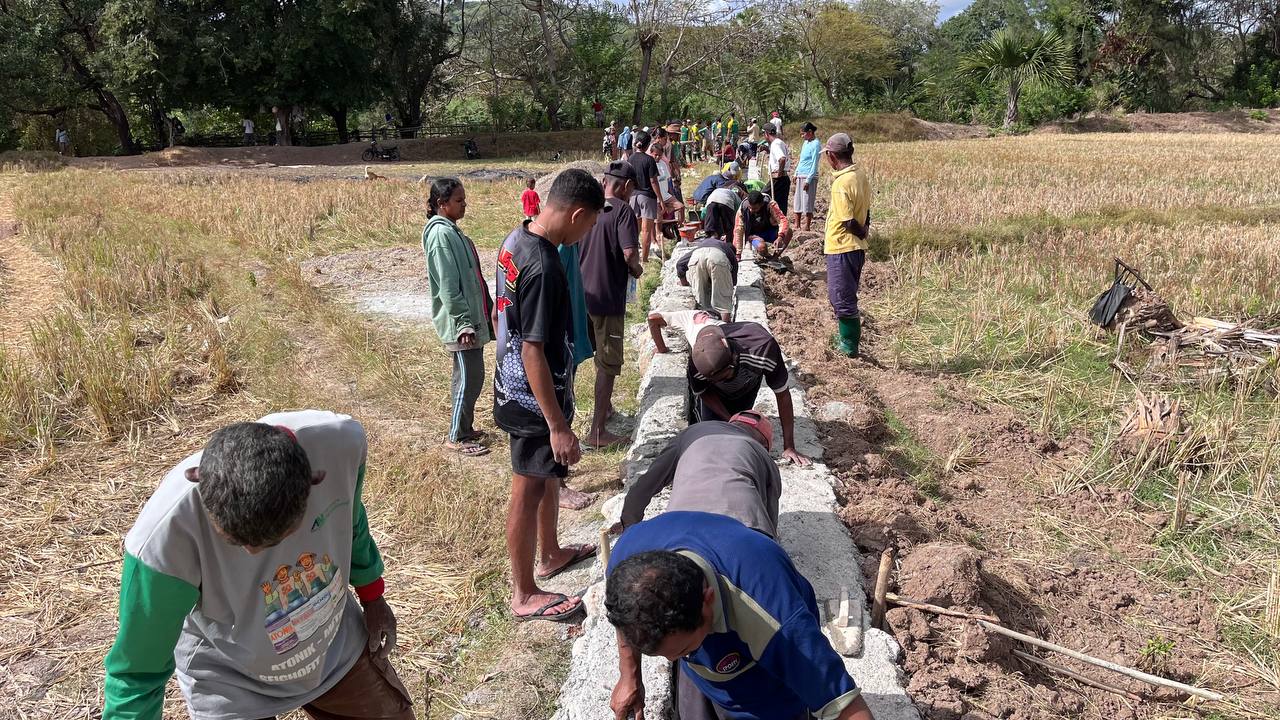 Satgas Pamtas Yonarhanud 2 Kostrad Bangun Irigasi Untuk Pengairan Sawah