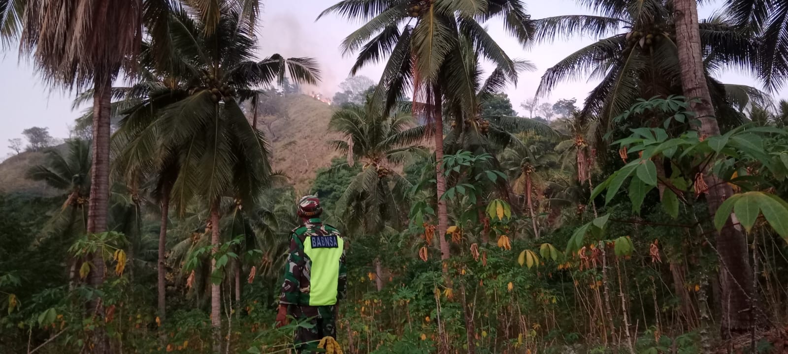 Babinsa Koramil 1602-01/Ende Bergerak Cepat Tangani Kebakaran Hutan di Bukit Embu Misi