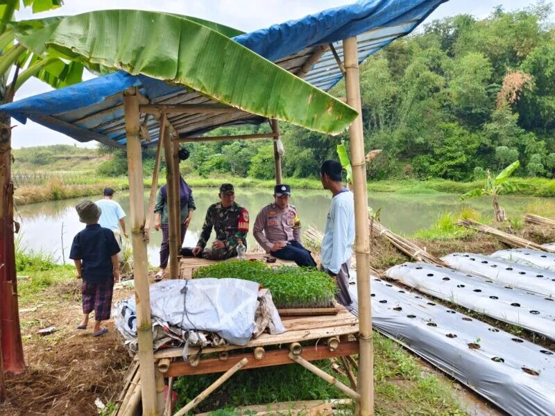 Babinsa Koramil 2206/Parakansalak Laksanakan Pendampingan Ketahanan Pangan Bersama Kelompok Tani