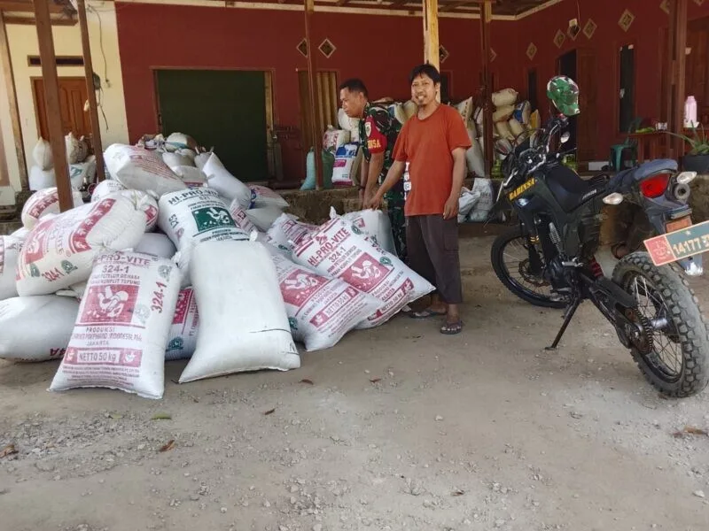 Babinsa Koramil 2215/Ciemas Monitoring Harga Gabah Padi Di Desa Sidamulya