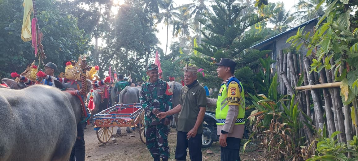 Ajang Makepung Sukses Digelar, Babinsa Sangkar Agung Apresiasi Ketertiban Ribuan Penonton
