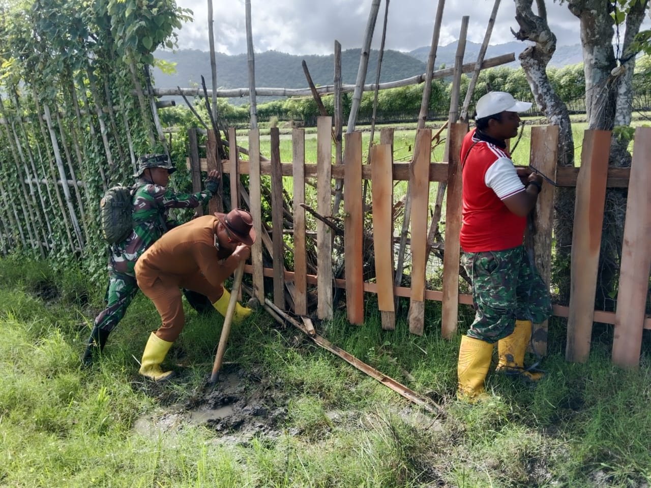 Babinsa dan Kades Jala Bersinergi Dorong Perawatan Pagar Pertanian di Dusun Bahari