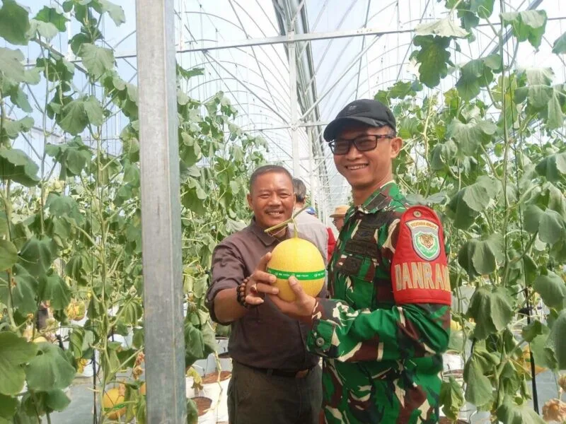 Danramil 2201/Cisolok Hadiri Peresmian Wisata Petik Melon Premium SAM FARM Greenhouse