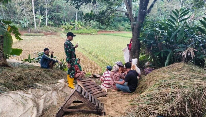 Babinsa Koramil 2209/Lengkong Dampingi Ketahanan Pangan di Desa Tegallega