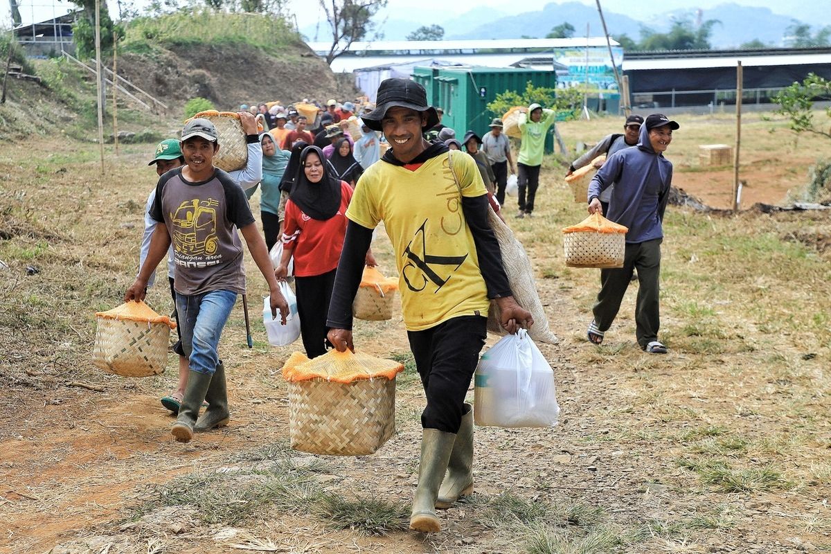 Pulang Bawa 5 Anak Ayam, Warga Bandung Bermimpi Bangun Peternakan dari Halaman Rumah