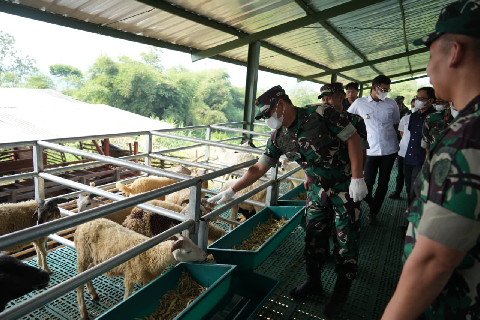 Perkuat Pangan: Pangdam III/Siliwangi Pimpin Panen Program Cikabayam di Banjaran