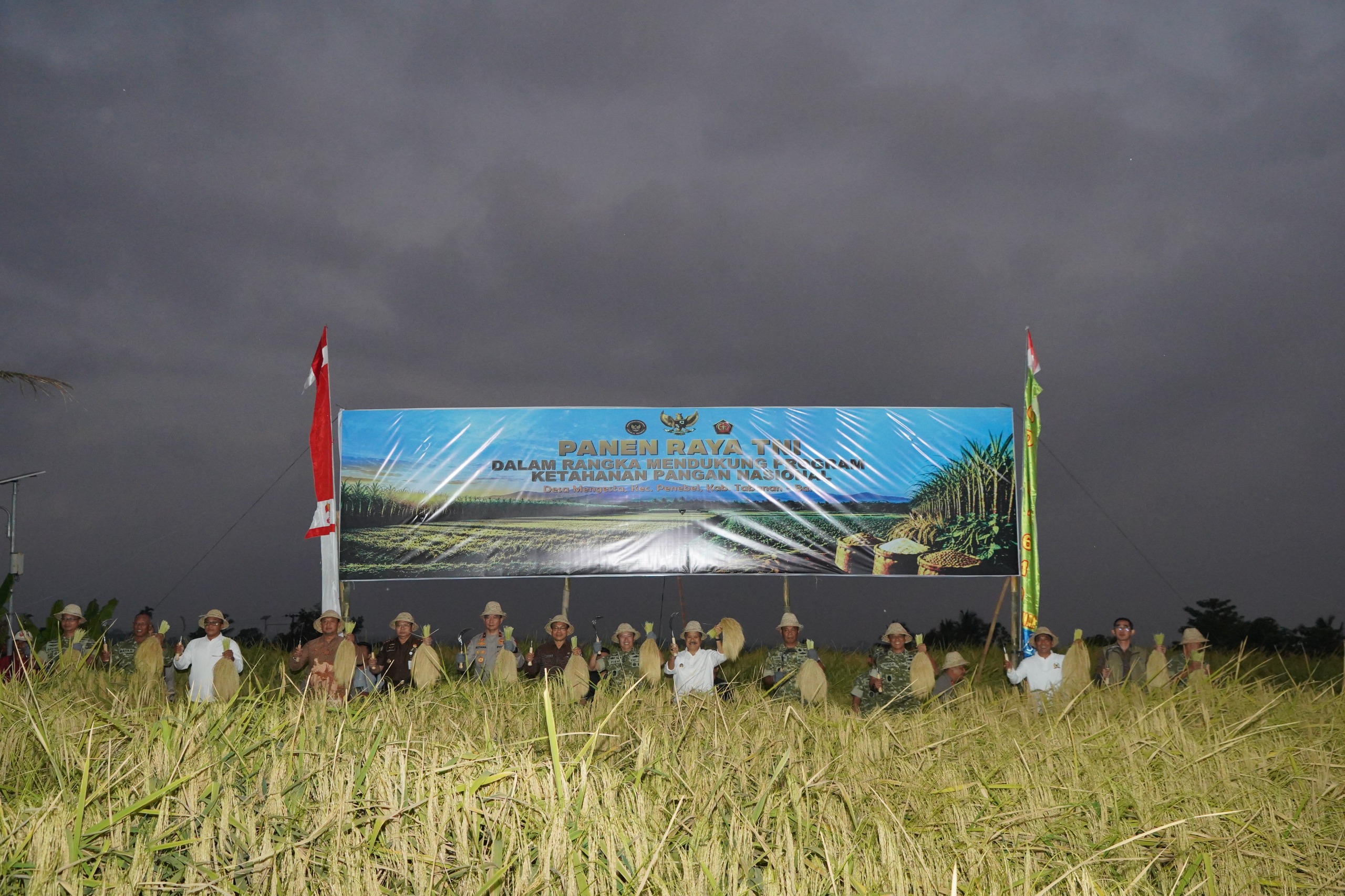 Dukung Swasembada Pangan Nasional, Pangdam IX/Udayana Pimpin Panen Raya TNI di Tabanan