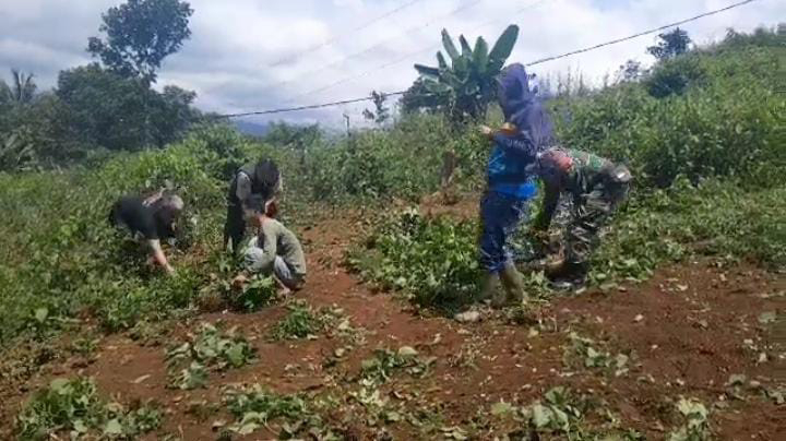 Babinsa Koramil 2213/Jampang kulon Laksanakan Karya bakti