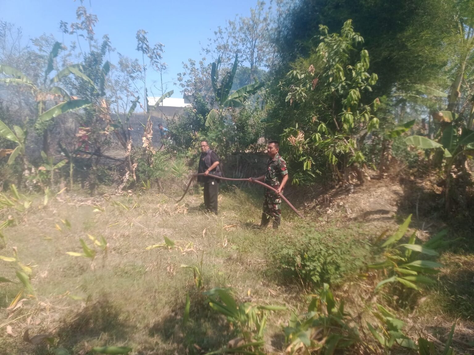 Aksi Cepat Babinsa Bersama Damkar dan Warga Jinakkan Kebakaran Lahan di Kasokandel