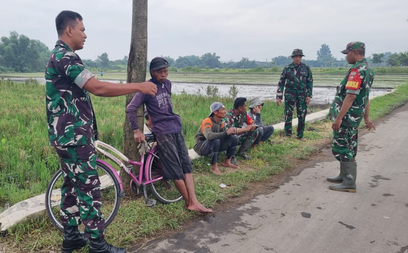 Babinsa Koramil 03/Delanggu Perkuat Komunikasi Dengan Petani, Dorong Tanam Serempak