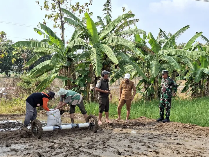 Antisipasi Kendala Lahan, Danramil Lelea dan BPP Berikan Arahan Teknis kepada Petani Tunggul Payung