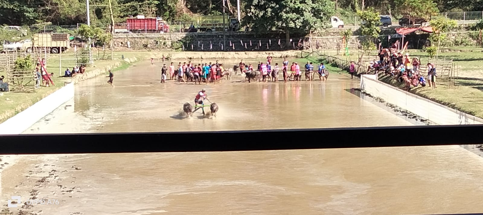 Meriahkan Pesona Tamekan, Babinsa Bersama Unsur Pengamanan Kawal Lomba Barapan Kebo
