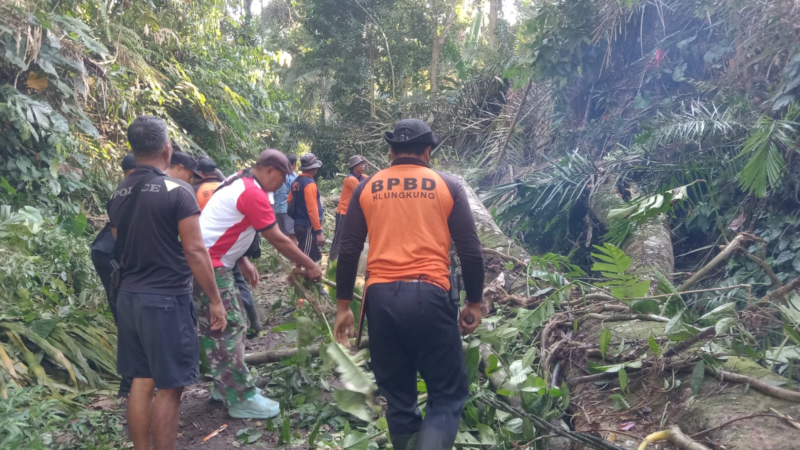 Klungkung,- Musibah pohon tumbang kembali  terjadi di Dusun Tulang Nyuh, Desa Tegak, Kecamatan/Kabupaten Klungkung. Musibah yang terjadi pada Senin ( 10/08/26 ) sekira pukul 08.00 Wita ini menimpa  pohon tehep.  Pohon tumbang ini tidak hanya menutup jalan