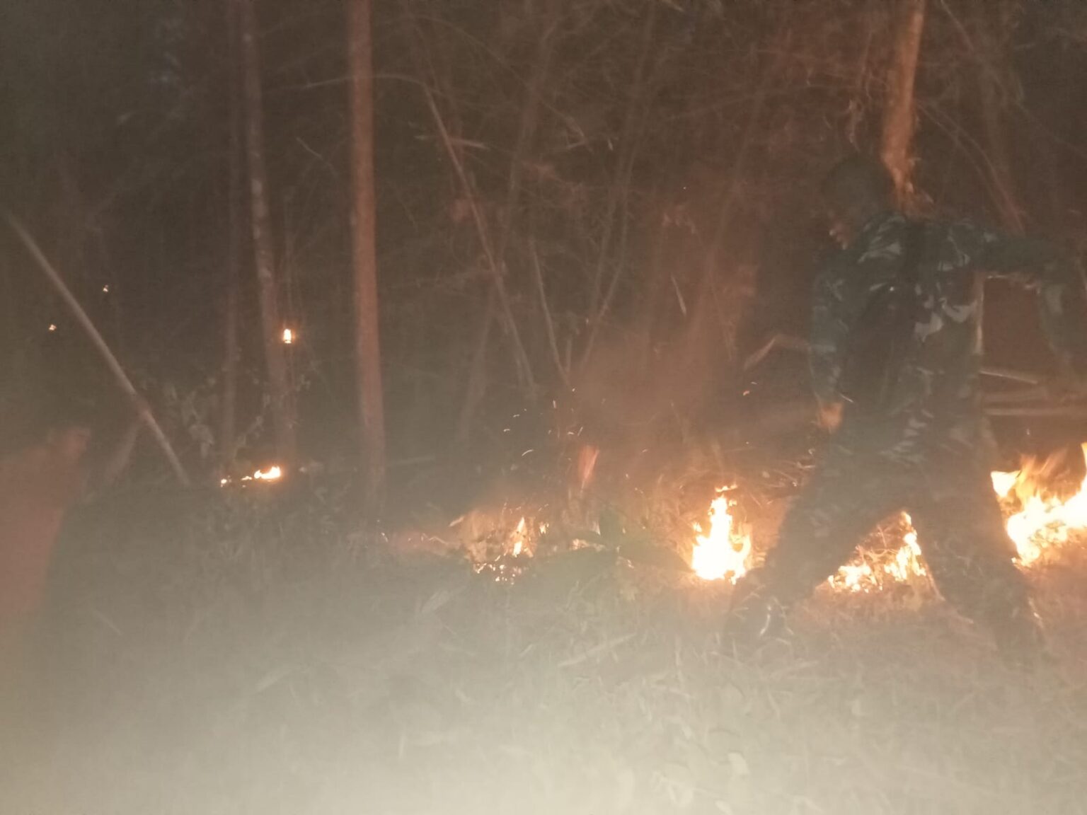 Diduga Dipicu Puntung Rokok, Kebakaran Hutan Bambu Seluas 1 Hektare di Majalengka Berhasil Dipadamkan