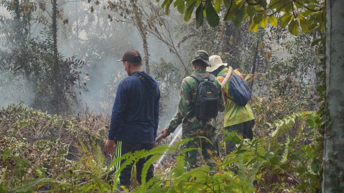 DANDIM 1011/KLK TERJUN LANGSUNG PADAMKAN TITIK API DI LAHAN GAMBUT TUMBANG NUSA