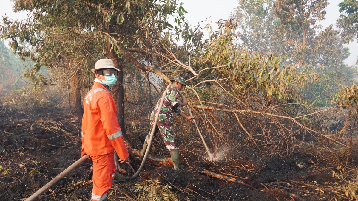 Dandim 1015/Sampit bersama Kapolres Kotim Terjun Langsung Padamkan Api Karhutla