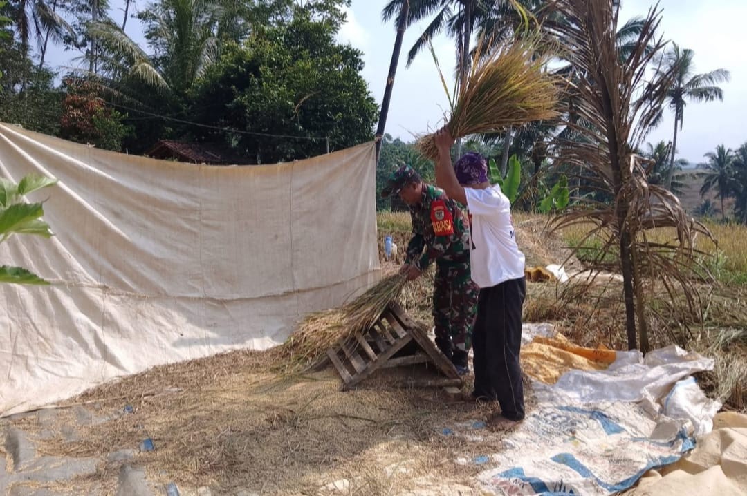 Babinsa Koramil 2209/Lengkong Dampingi Kegiatan Ketahanan Pangan di Desa Lengkong