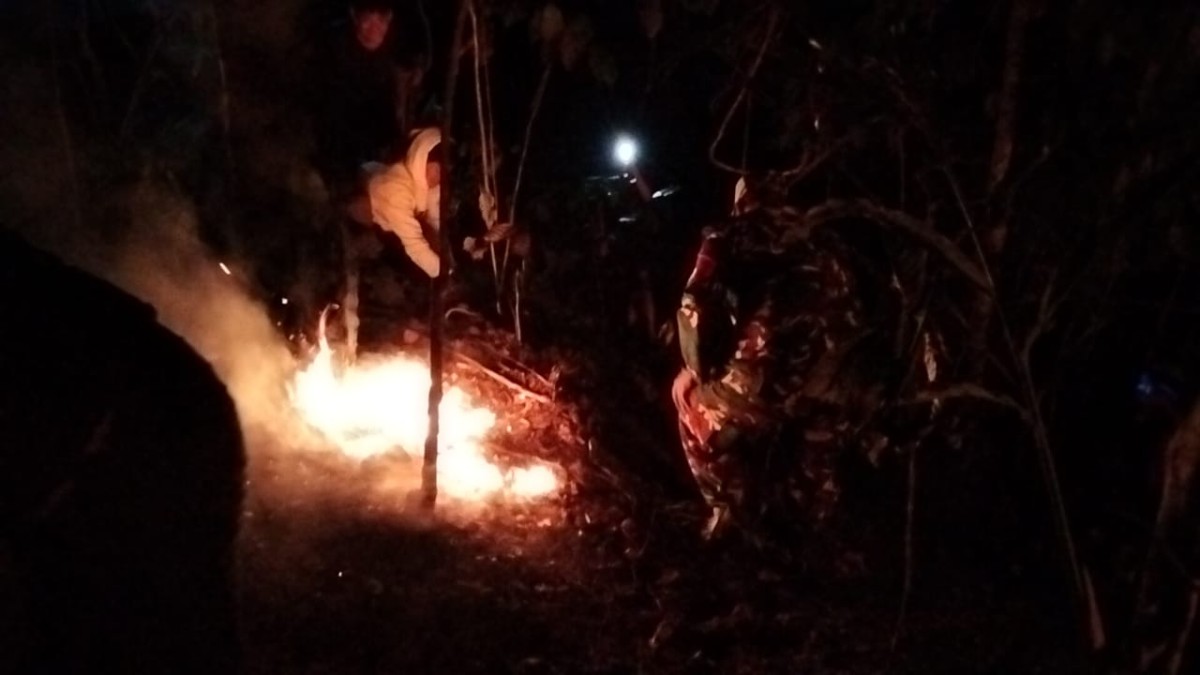 Kebakaran Lahan Pinus Perhutani di Desa Panerusan Wetan Luas Sekitar 1 Hektare