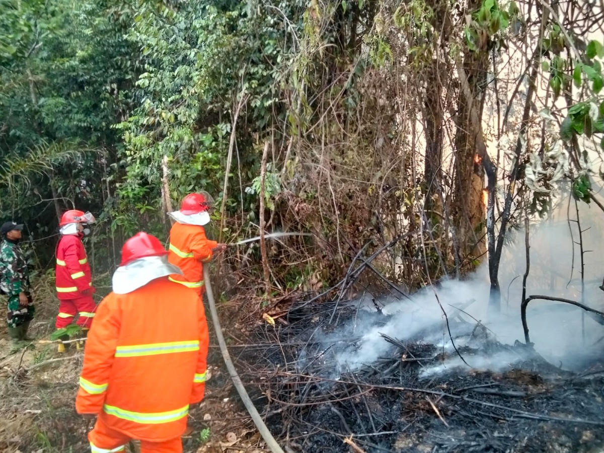 Dandim 1204/Sanggau Soroti 18 Titik Panas, Pasukan Gabungan Bergerak Tangani Tiga Titik Api