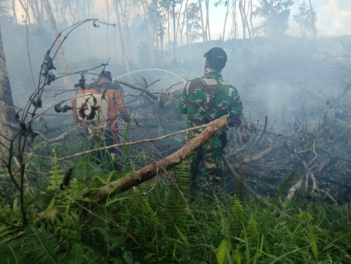 Koramil 1204-13/Belitang Hulu Bersama Tim Gabungan Berhasil Padamkan Karhutla di Desa Sungai Tapah