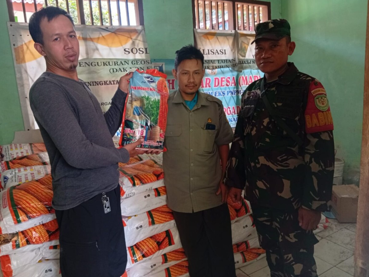 Babinsa Bantargadung Koramil 2203/Warungkiara Monitor Penyaluran 2 Ton Benih Jagung untuk Dukung HanPangan