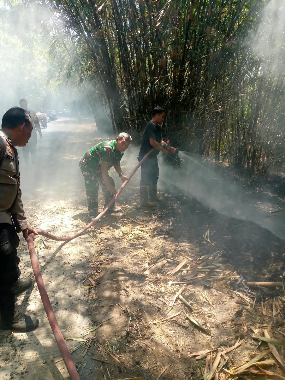 Kebakaran Lahan Bambu di Sukahaji Majalengka, Api Hanguskan Setengah Hektare