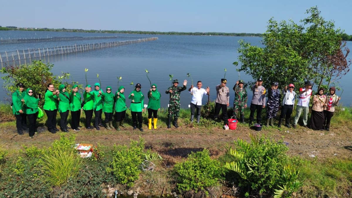 Sambut HUT TNI Ke 81 dan Kodam IV/Diponegoro, Kodim Pekalongan Tanam Mangrove Di Pesisir Pantai Utara