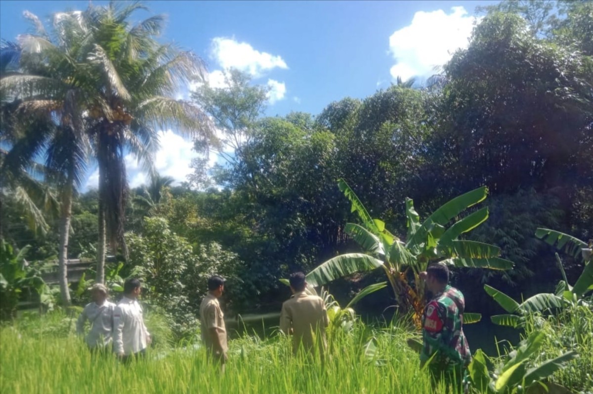 Babinsa Koramil 2212/Tegalbuleud Bersama PPL Dampingi Poktan dalam Upaya Tingkatkan Ketahanan Pangan