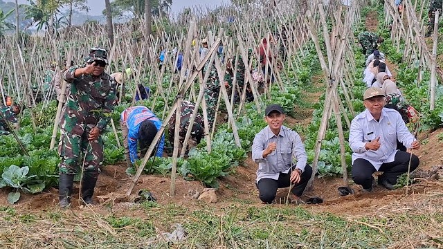 Camat Sukabumi Ade Rikman apresiasi dan ucapan terima kasih kepada TNI, Bersama Warga Perkuat Penghijauan untuk Cegah Bencana