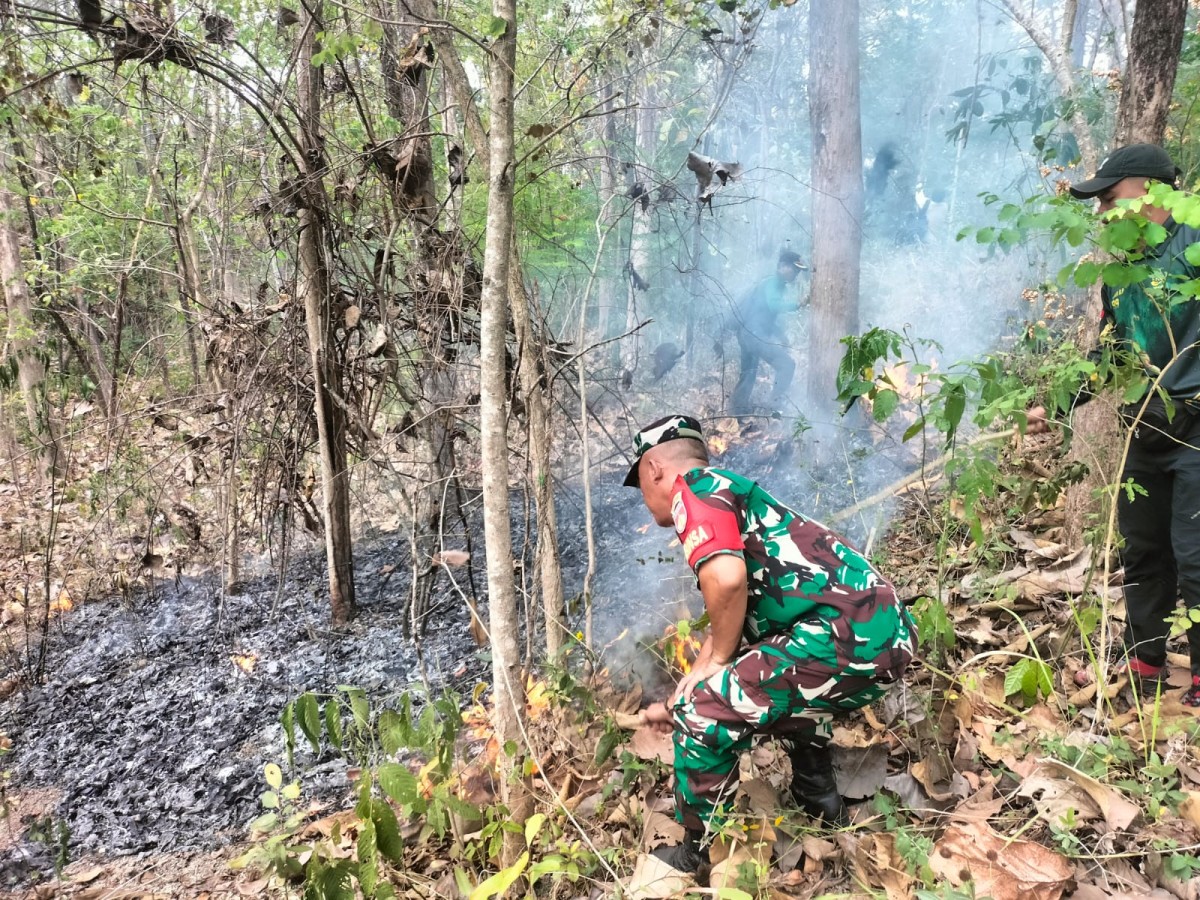 Semak Belukar Hutan Geyer Terbakar Petugas Gabungan Padamkan Api Dengan Alat Seadanya Grobogan
