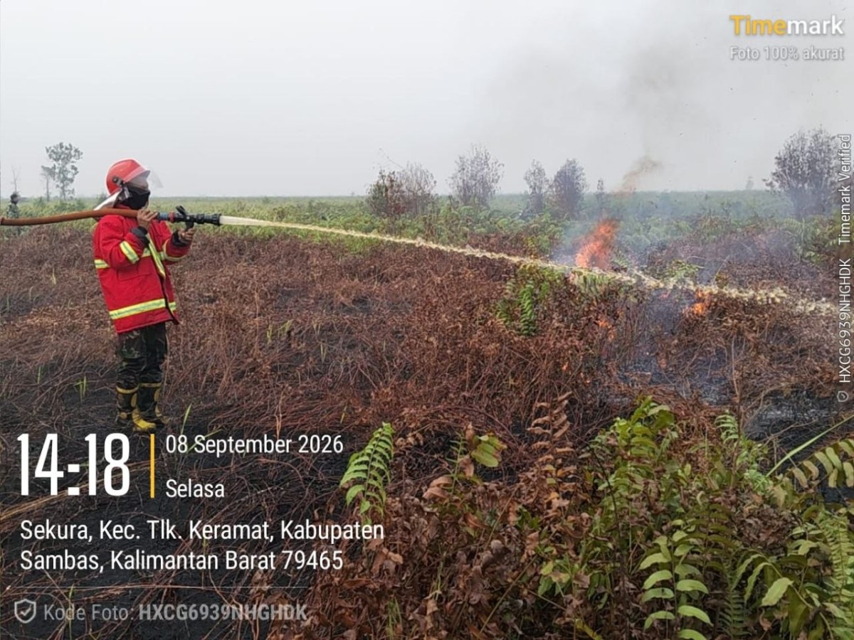 Gerak Cepat, Anggota Koramil 04/Jawai Turun ke Lapangan Padamkan Sisa Titik Api