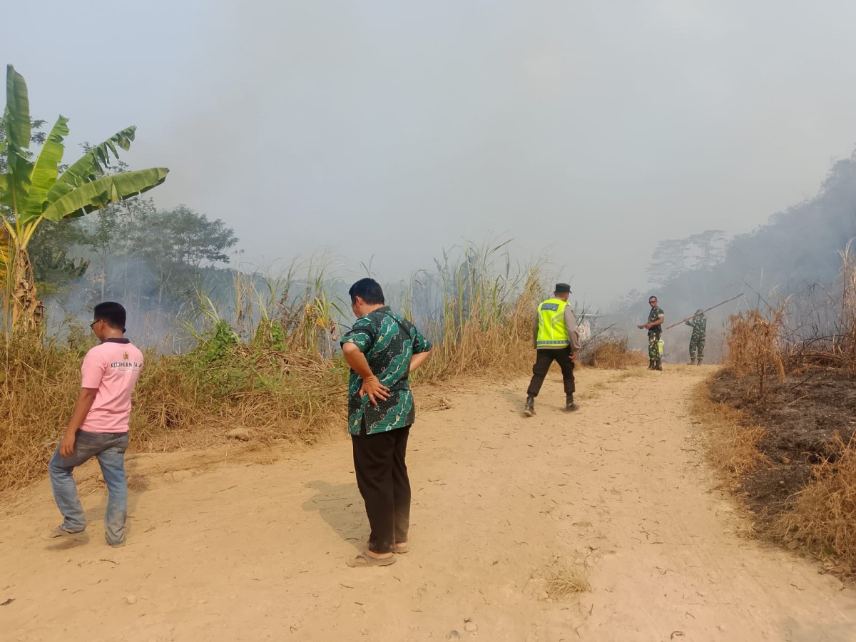 Lahan Kosong di Desa Krompeng Pekalongan Terbakar, Diduga Akibat Aktivitas Pembakaran Lahan
